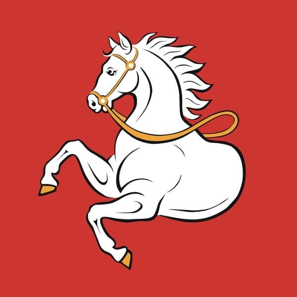 Next Mayor of Pardubice - image