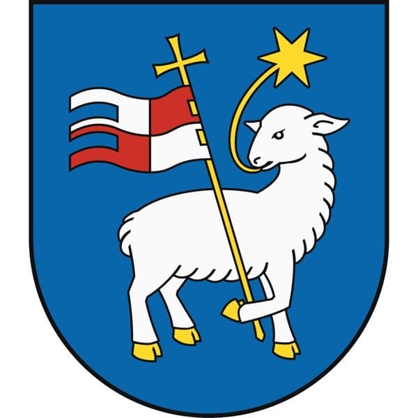 Trenčín Mayoral Election Winner - image