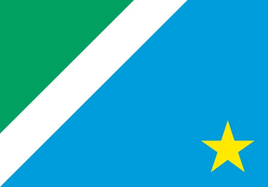 Mato Grosso do Sul Senate Election: 2nd Place - image