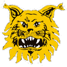 ilv icon