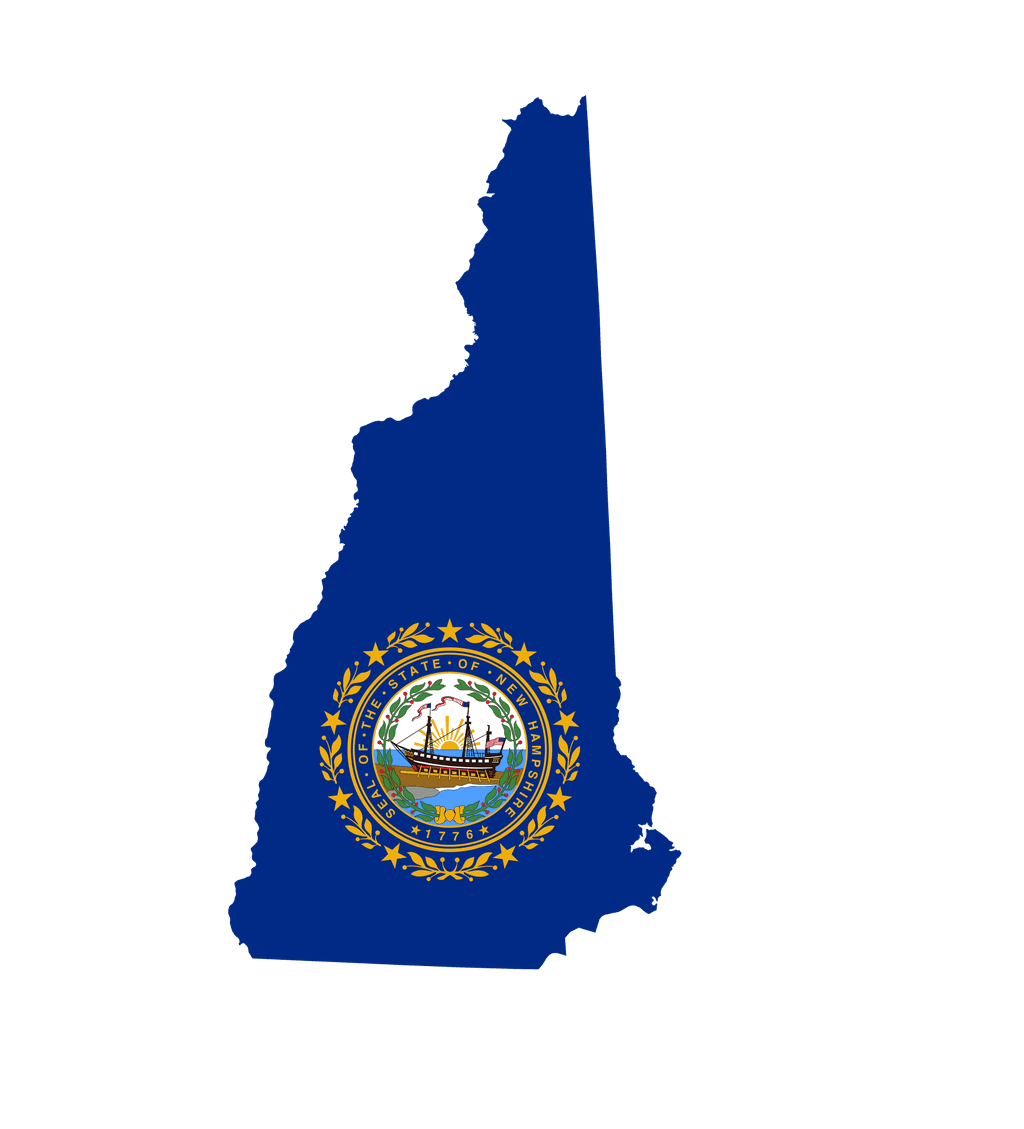 icon for New Hampshire Governor Election Margin of Victory