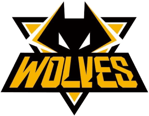 wol icon