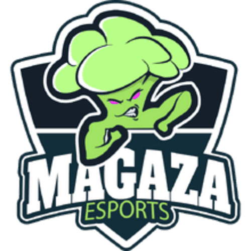 mgz icon