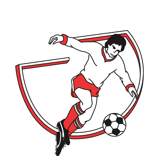 bvv icon